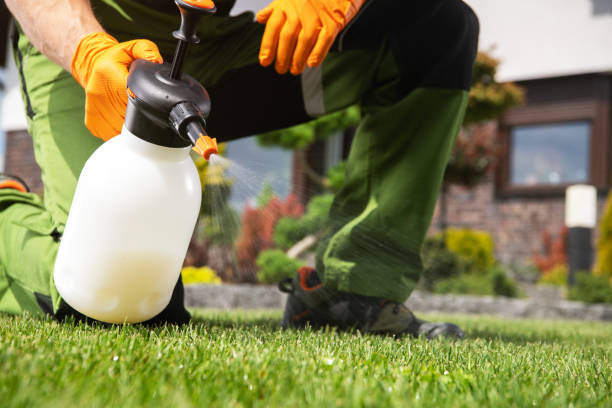 Best Mosquito Control Services  in Three Rivers, TX