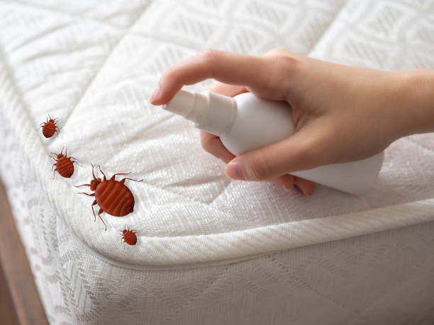 Best Affordable Pest Control Services  in Three Rivers, TX
