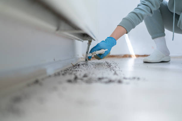 Best Cockroach Control Services  in Three Rivers, TX