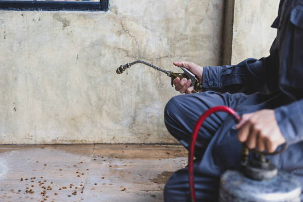Best Pest Control Near Me  in Three Rivers, TX